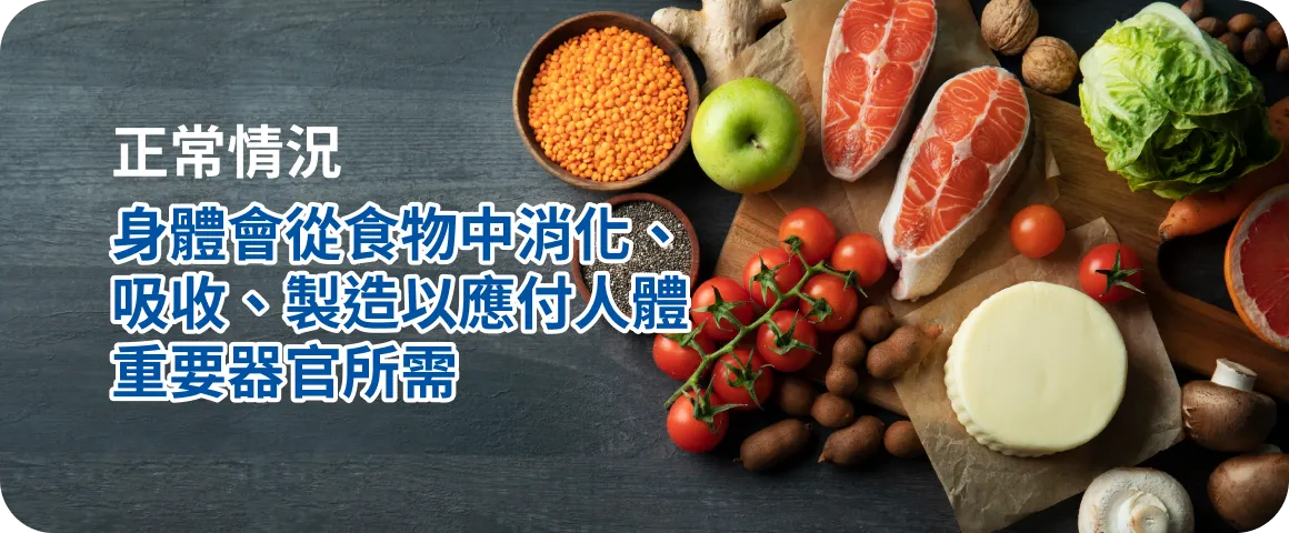 正常情況：身體會從食物中消化、吸收、製造以應付人體重要器官所需