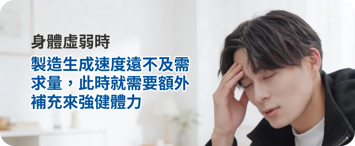 身體虛弱時：製造生成速度遠不及需求量，此時就需要額外補充來強健體力